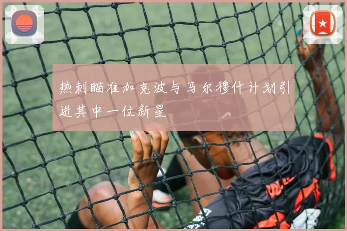 热刺瞄准加克波与马尔穆什计划引进其中一位新星