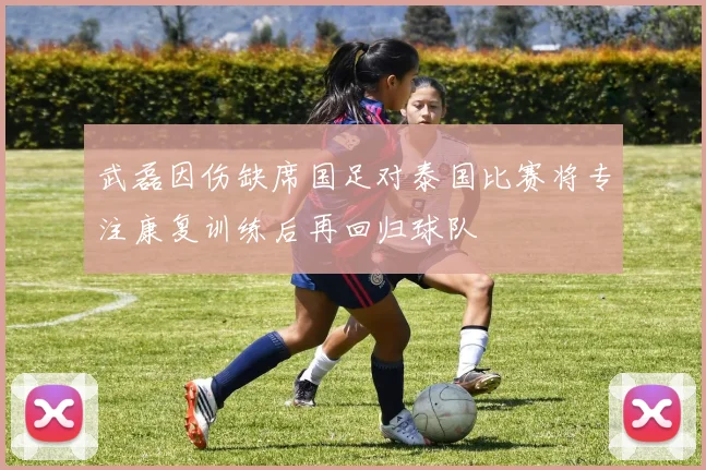 武磊因伤缺席国足对泰国比赛将专注康复训练后再回归球队