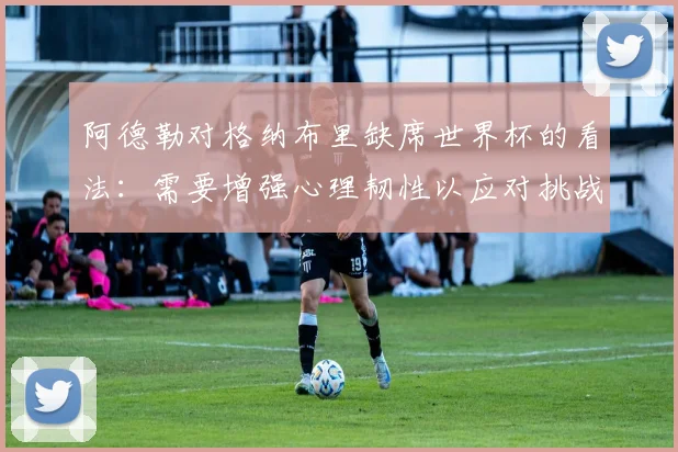阿德勒对格纳布里缺席世界杯的看法：需要增强心理韧性以应对挑战